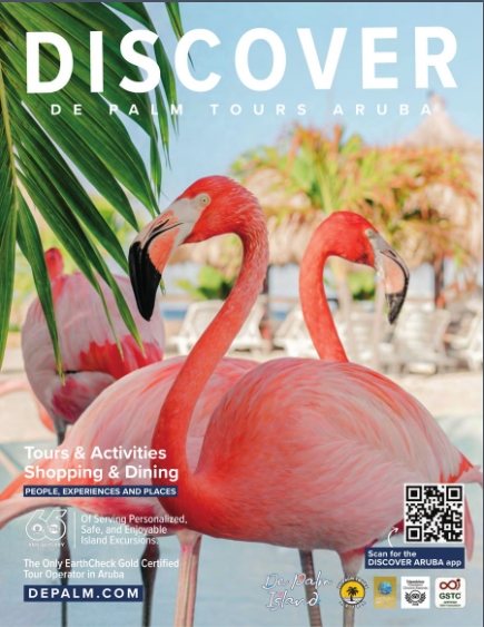 Discover De Palm Tours Aruba Guide cover — flamingos on an Aruba beach